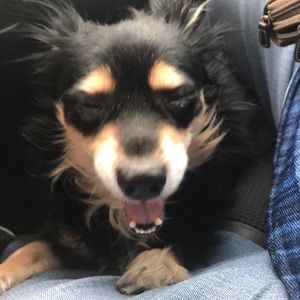 Meet your Posher, Marcy